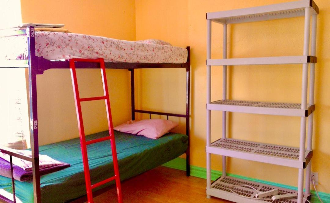 The Only Backpacker's (adults Only)