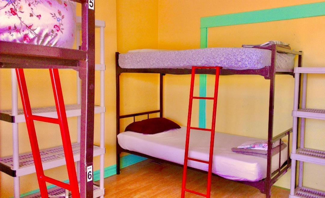 The Only Backpacker's (adults Only) Hostel