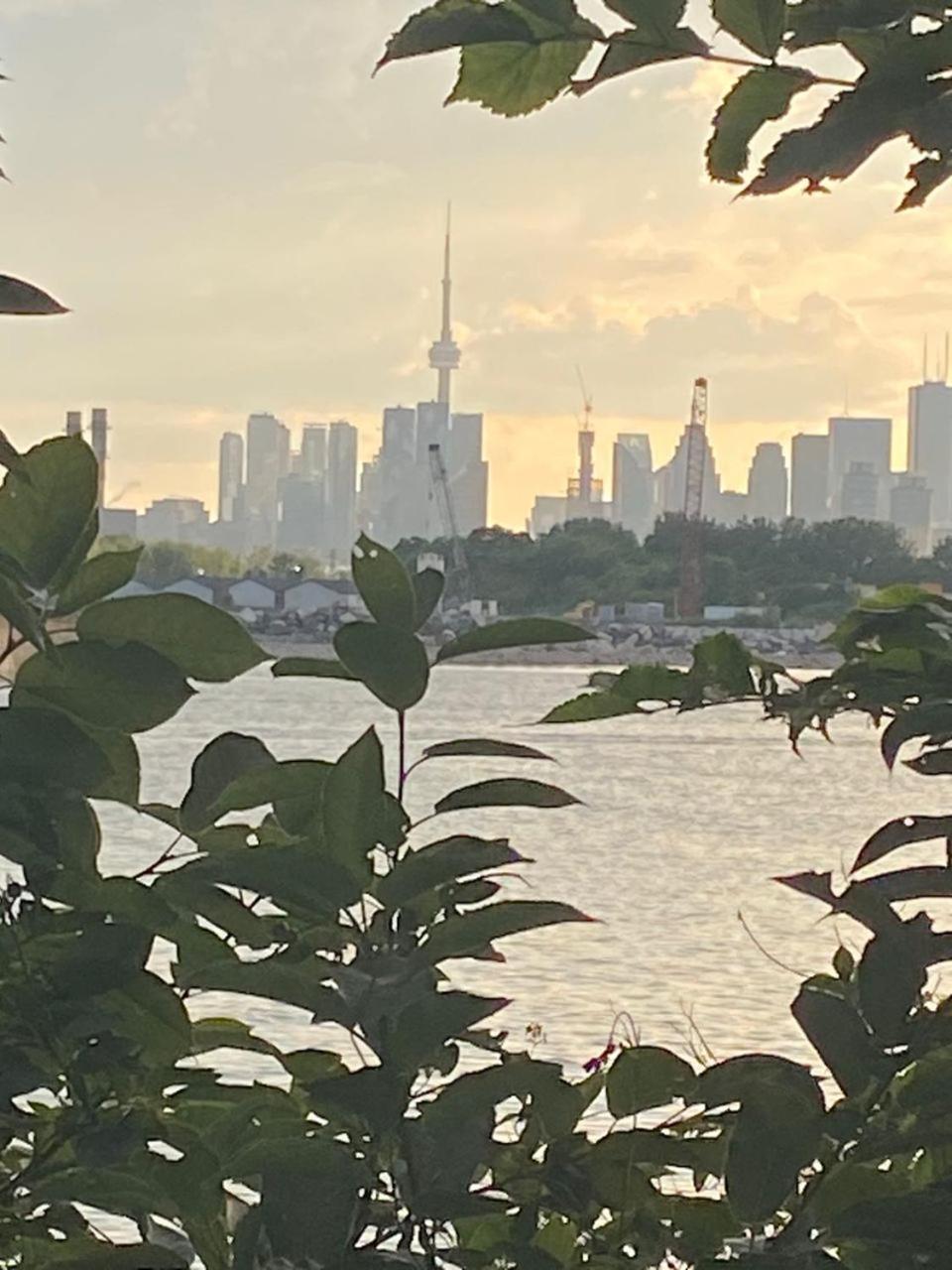 Privatunterkunft House Toronto