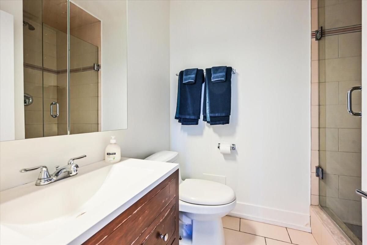 Apartment 1 Bedroom Oasis In Downtown