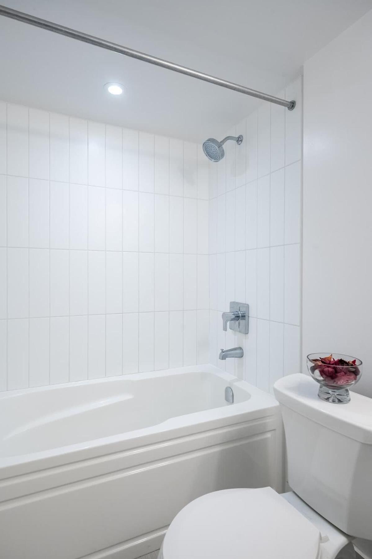 Luxury 1bdr In Downtown Apartment Toronto