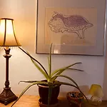 Hipster Studio In Little Italy
