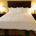 Homewood Suites By Hilton Toronto Airport Corporate Centre