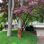 Spacious Bedroom With Living Area And Free Parking In Midtown