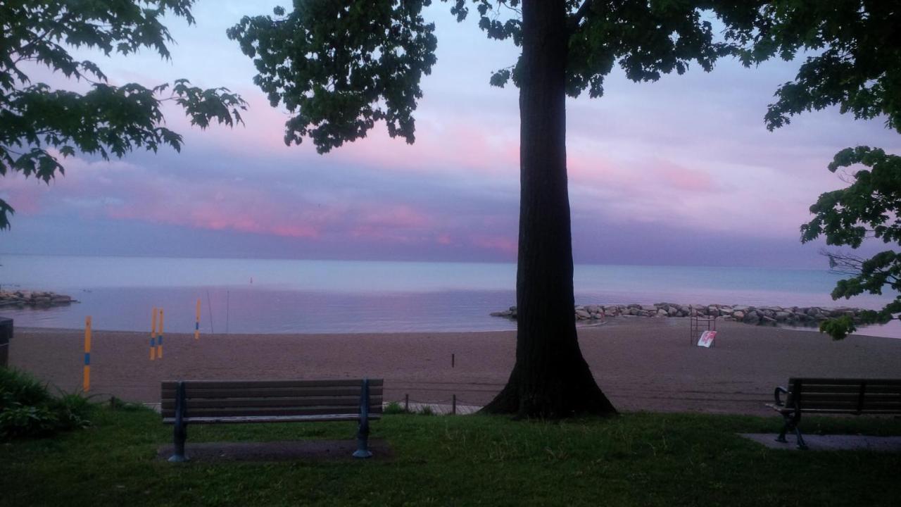 An Independent Beach Retreat Steps From The Lake And Right In The City Apartment Toronto