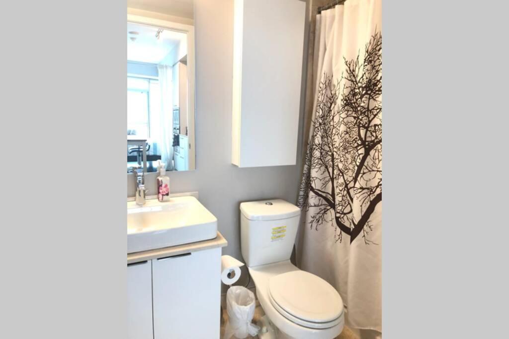 Magnificient View Next Cn Tower/rogers/union/mtcc * Toronto