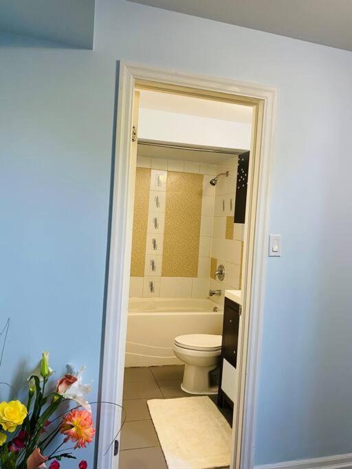 Impression 2 Bedrooms Apartment Space Share