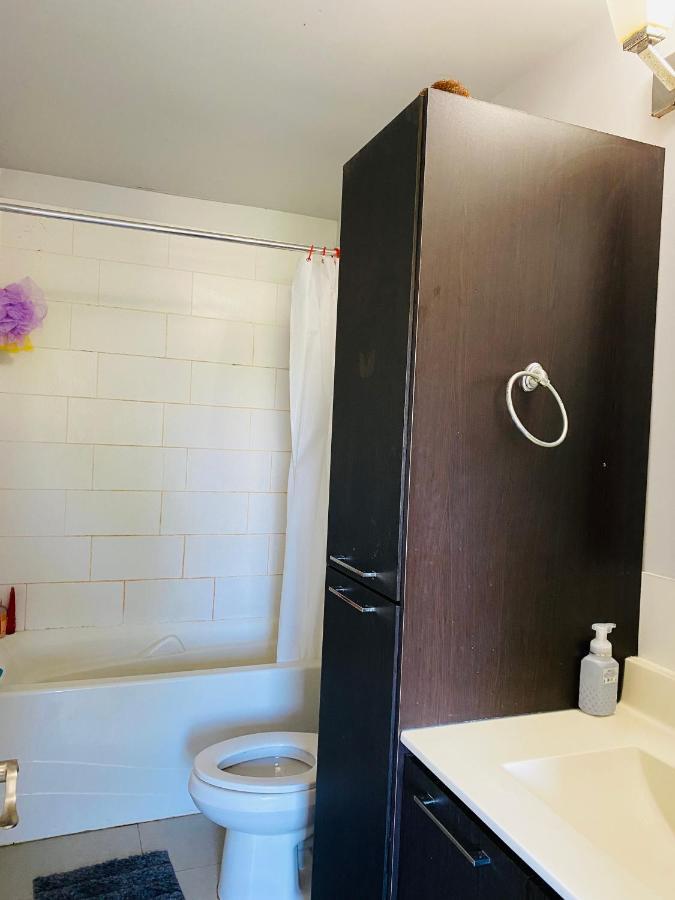 Impression 2 Bedrooms Apartment Space Share Toronto