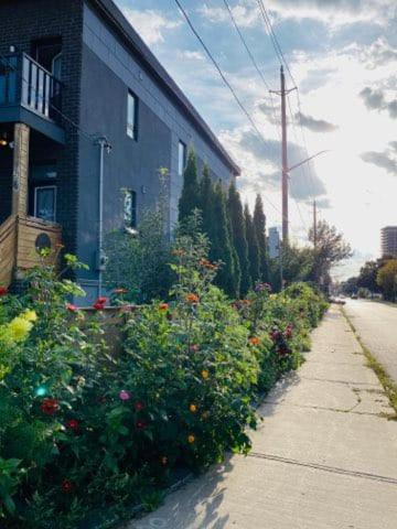 Lovely Ii Space Share A East York Canada Apartment