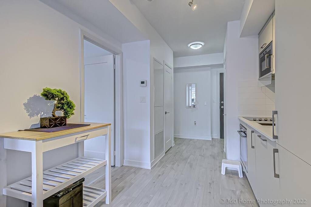 Minto - Modern In King West Neighborhood *