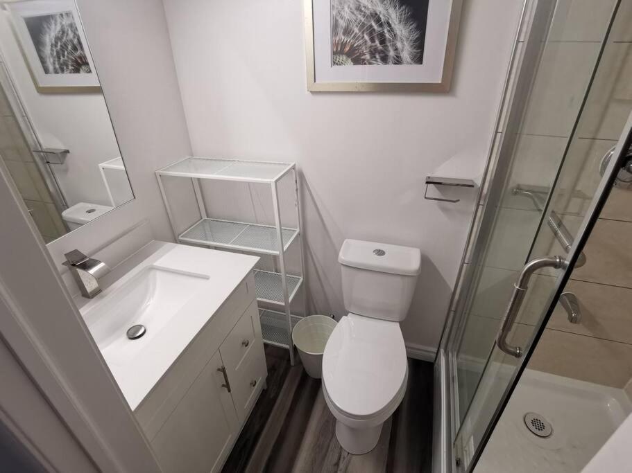 Wishing Well 2-bedrooms Cozy Apartment