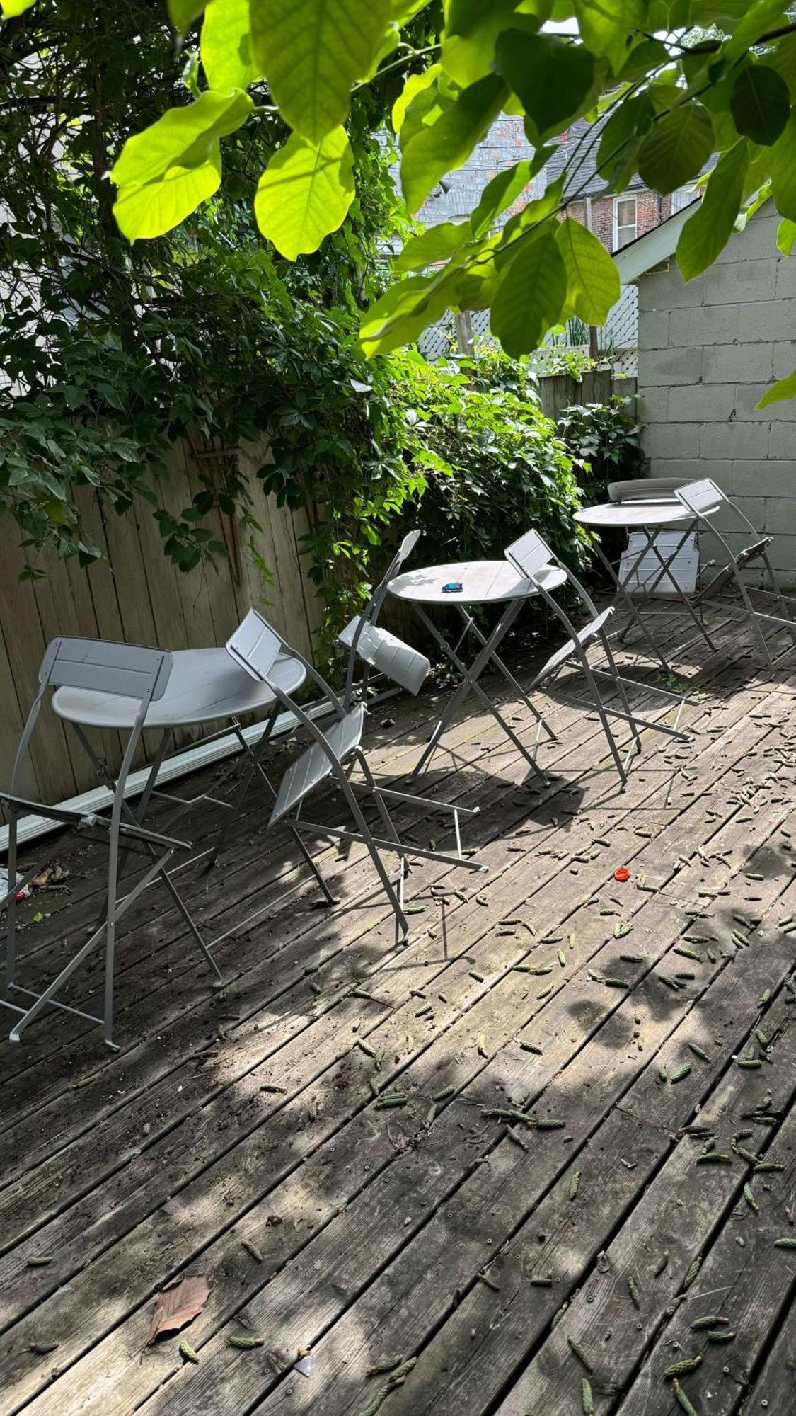 Modern 1br - Near Trinity Bellwoods Park Toronto