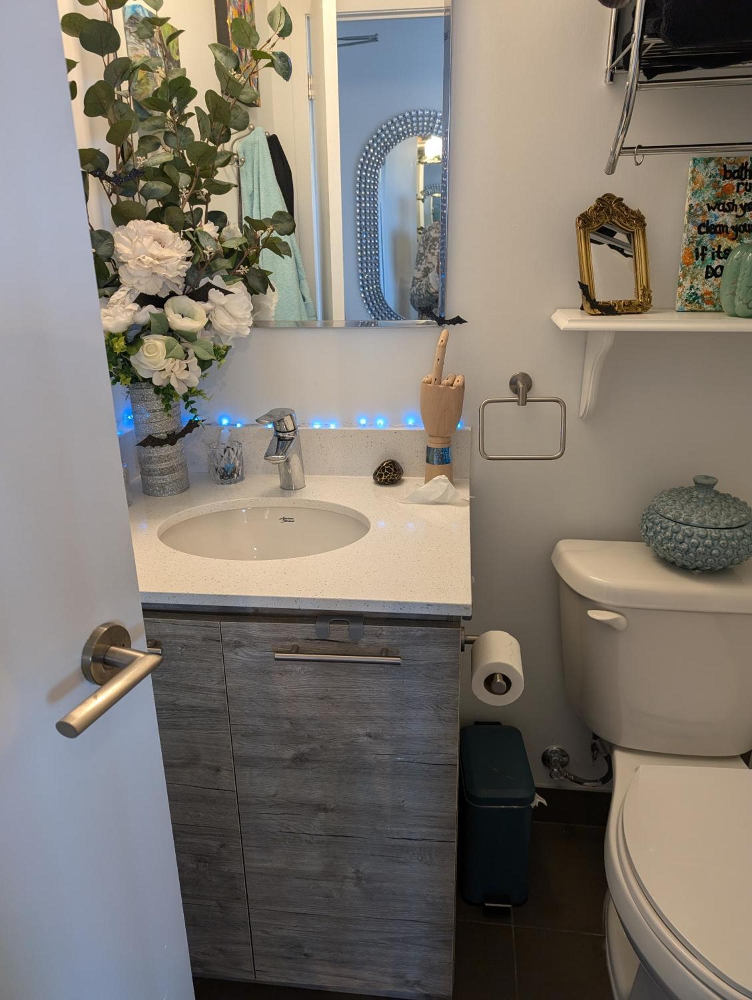 Liberty Village 1 Bedroom 2 Bathroom Apartment *