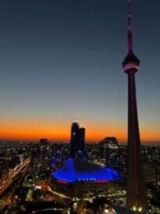 Magnificient View Next Cn Tower/rogers/union/mtcc Toronto