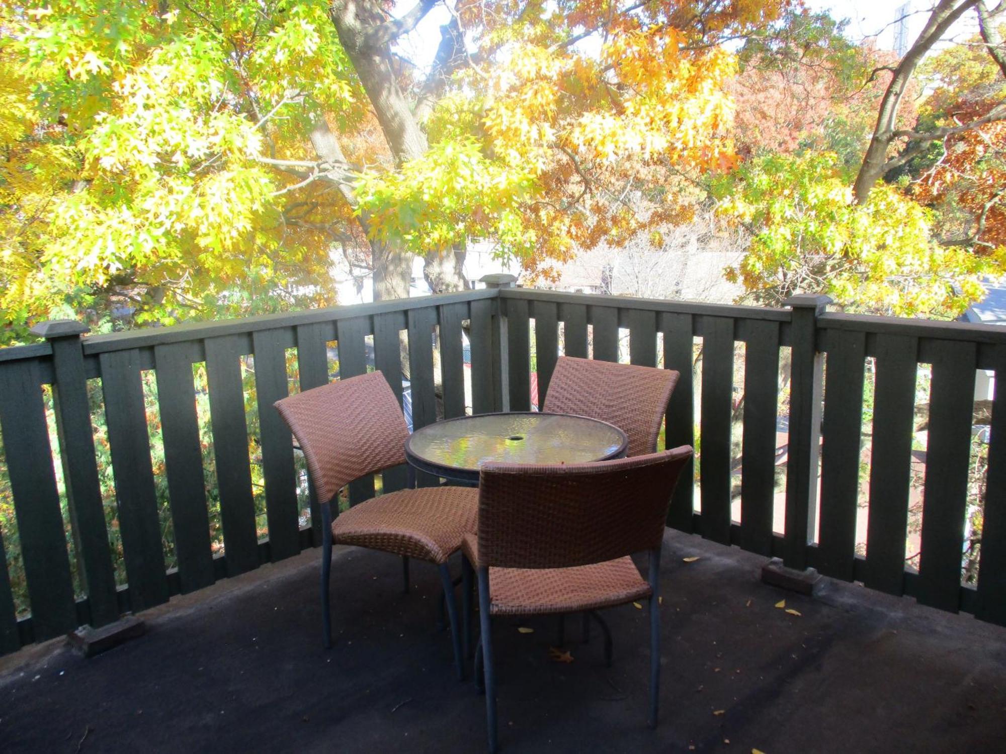 Apartment High Park Double With Exclusive Washroom Kitchen And Living Toronto