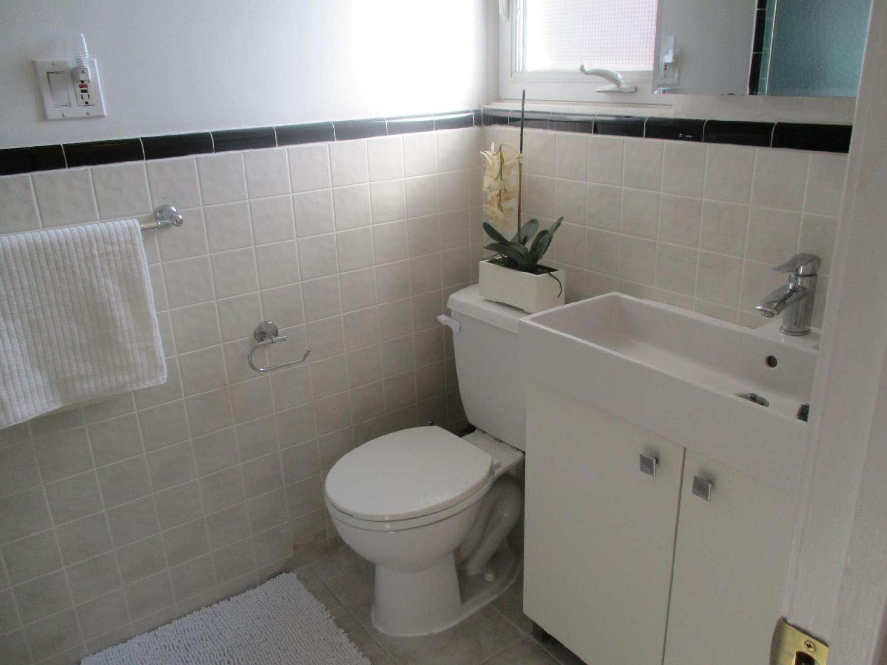 High Park Double With Exclusive Washroom Kitchen And Living Apartment *