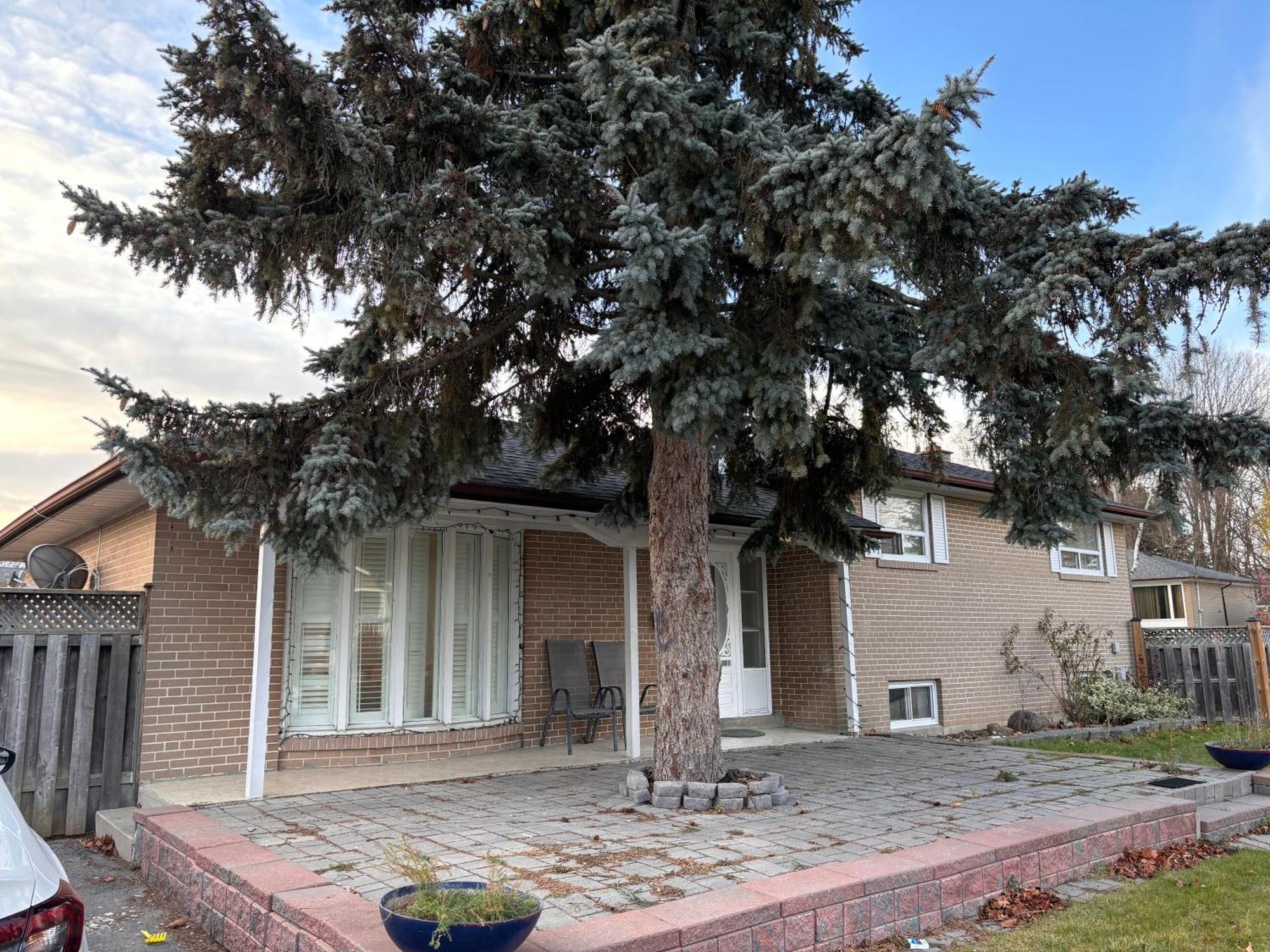 Full Privacy, 4br House, 24h7 Check In Apartment *