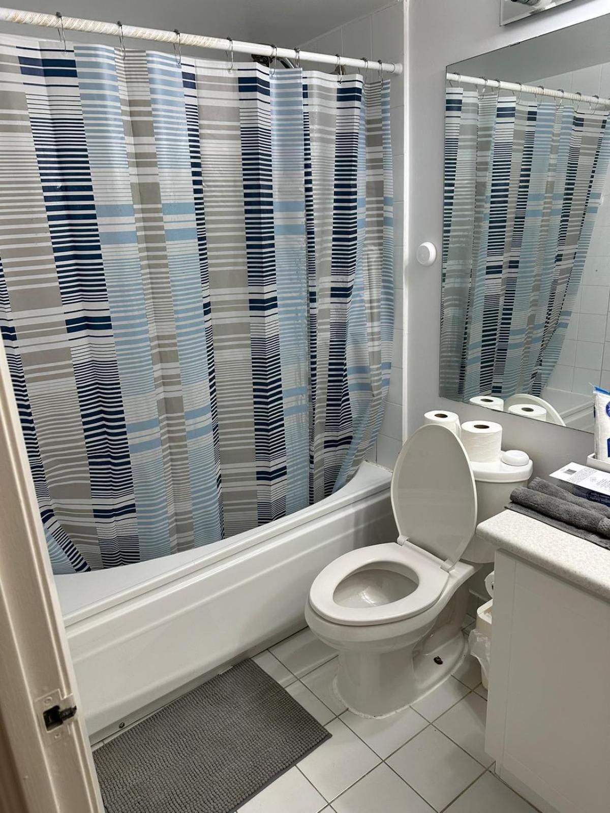 Location In Downtown- Walking To Eaton Centre, Nathan Phillips Square, Yonge-dundas, Ikea,transit *