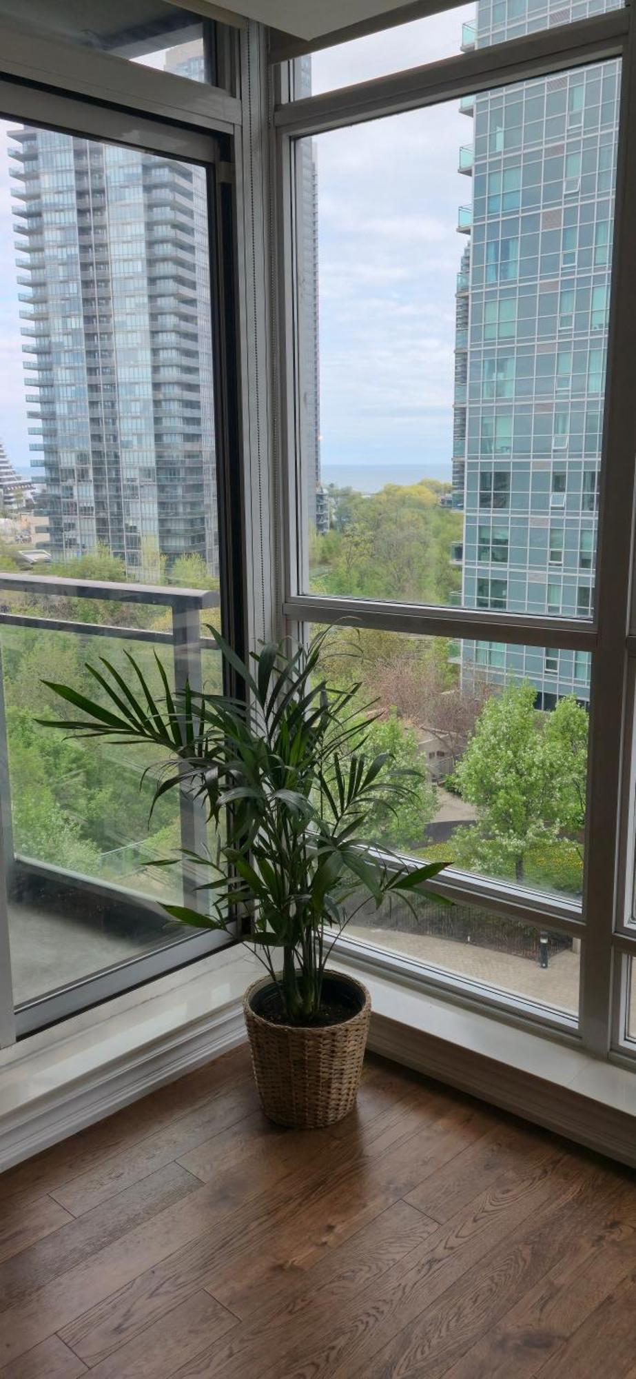 Apartment Lovely Near Ontario Toronto