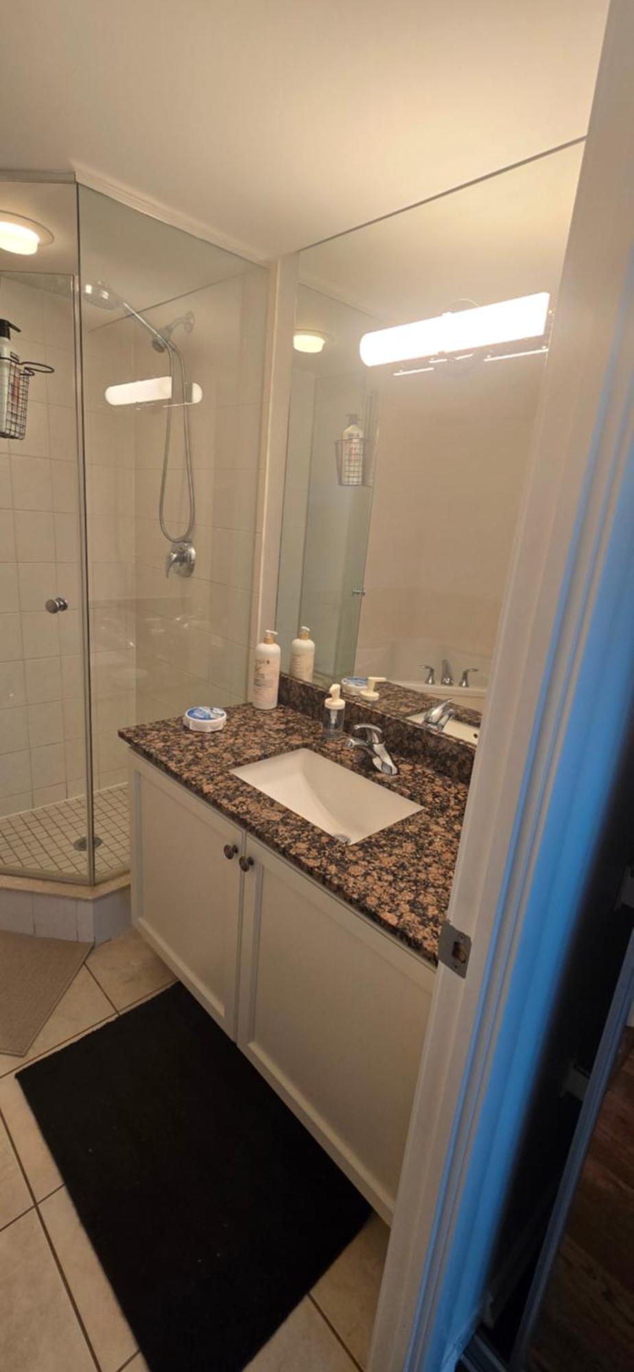 Lovely Near Ontario Apartment Toronto
