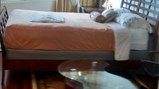 Furnished Living Apartment