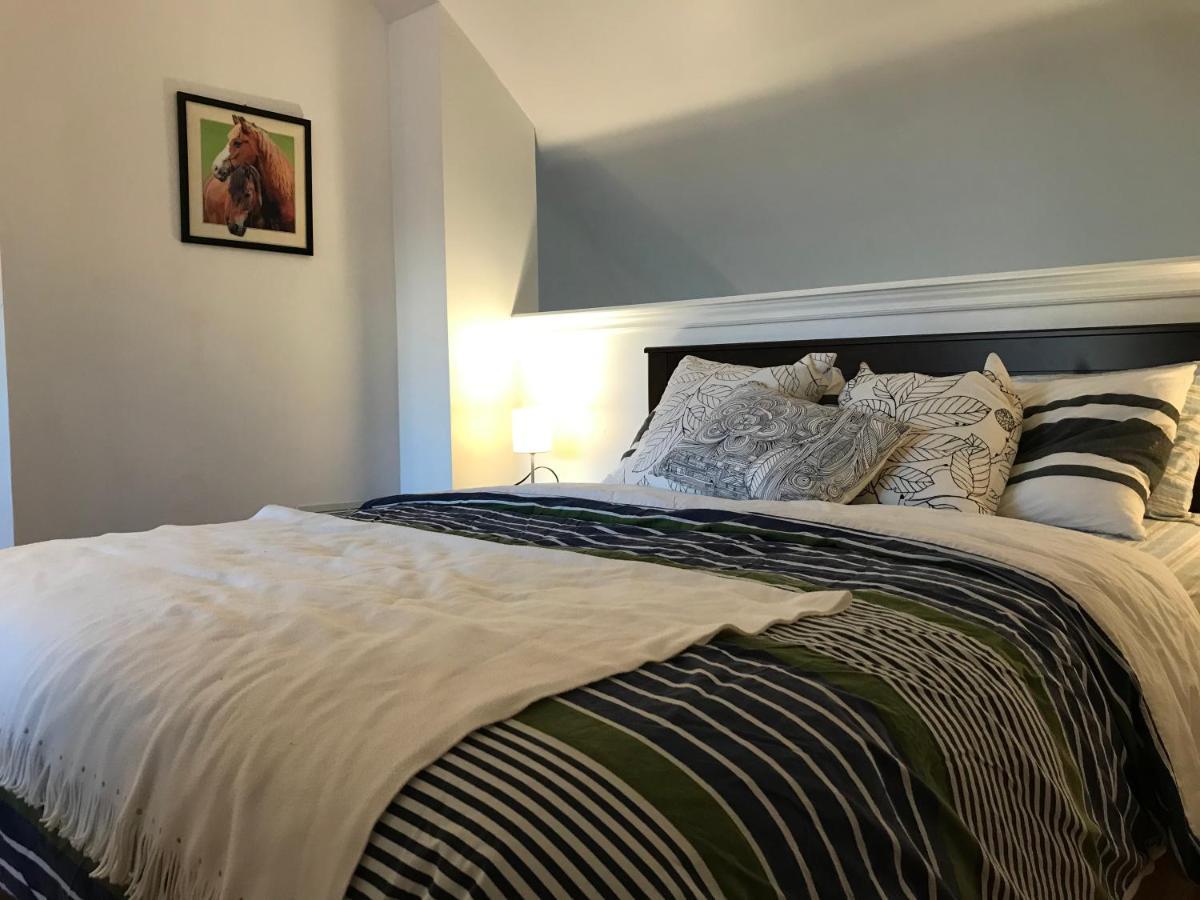 Apartment Executive Underground Toronto