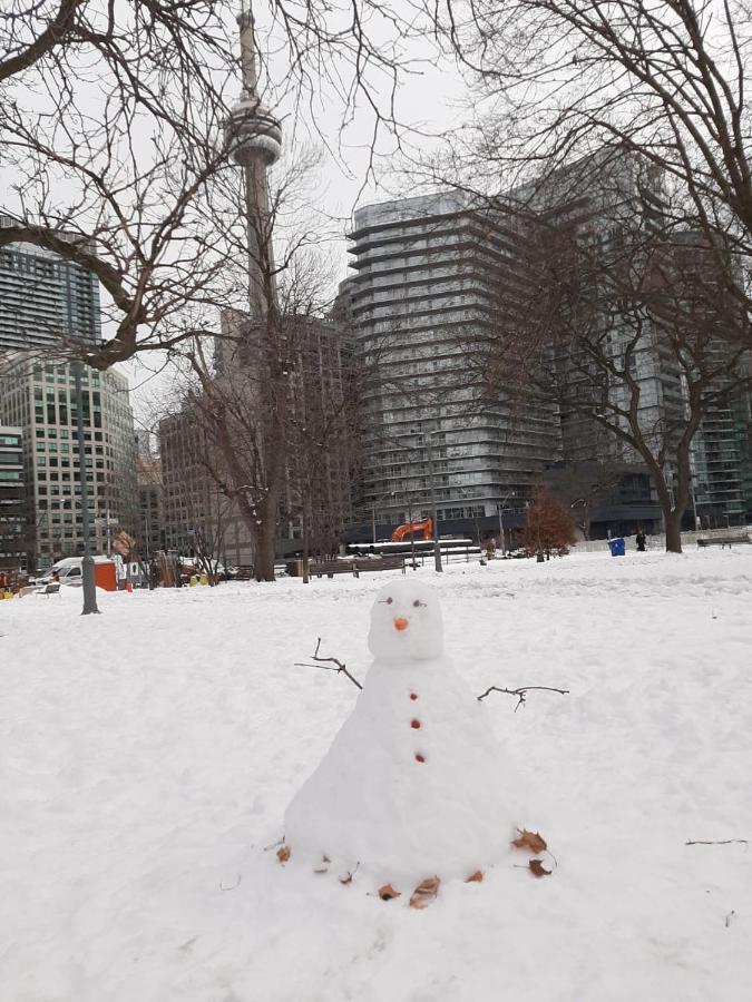 The Clarence Park Toronto