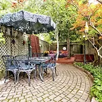 Unique Home In Queen West W Sunroom And Backyard!
