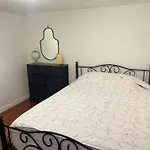 Entire Floor Privet Yard King Queen Twin