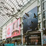 Luxury Executive In Yorkville