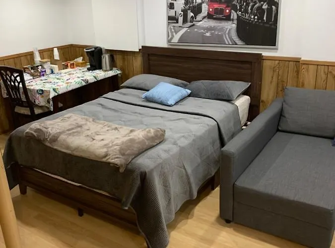 Big Oasis Studio Near Airport Yyz