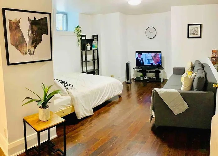Spacious Bachelor Apartment - Parkdale Mansion