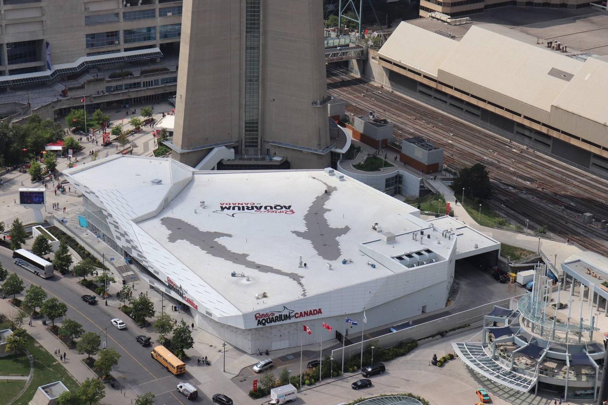 Apartment Aaira Cn Tower View *