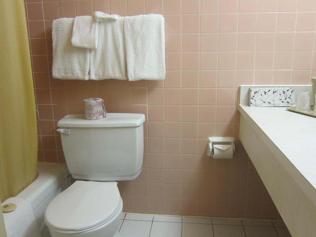 Plaza Airport Hotel 3*