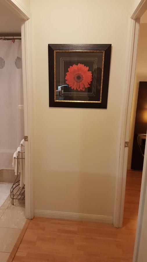 Apartment Luxury Accommodations - University Plaza *