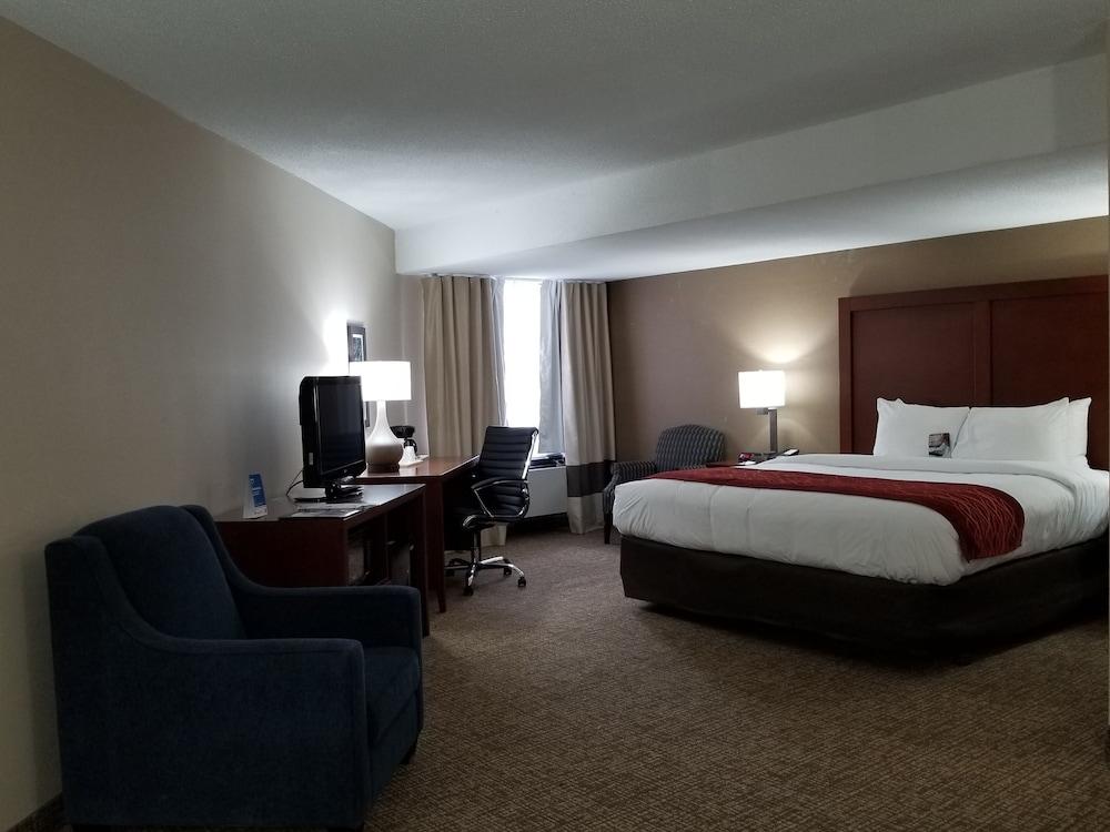 Comfort North Hotel Toronto
