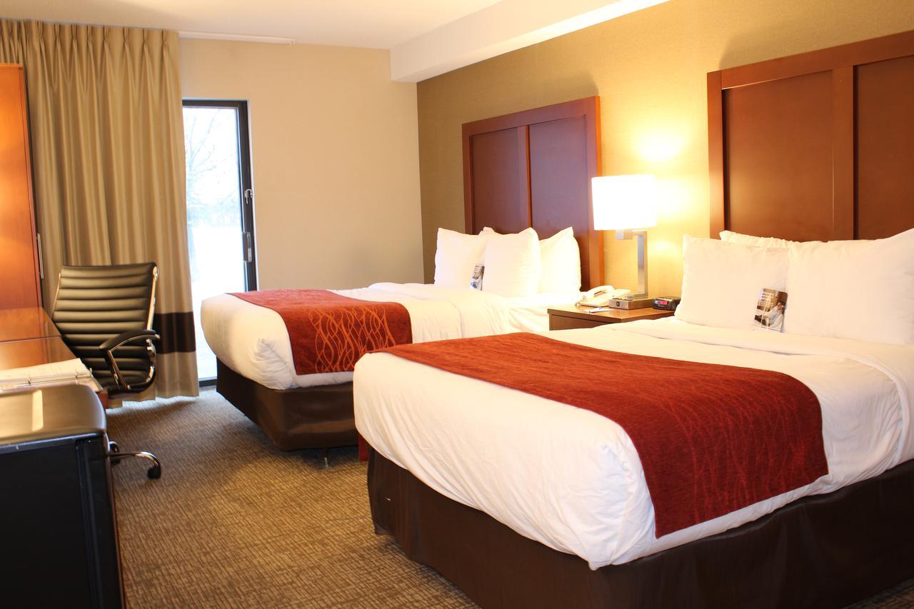 Comfort North 2*
