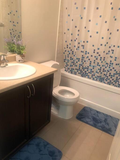 Apartment 1 Bedroom Beside Cn Tower & Rogers Centre *