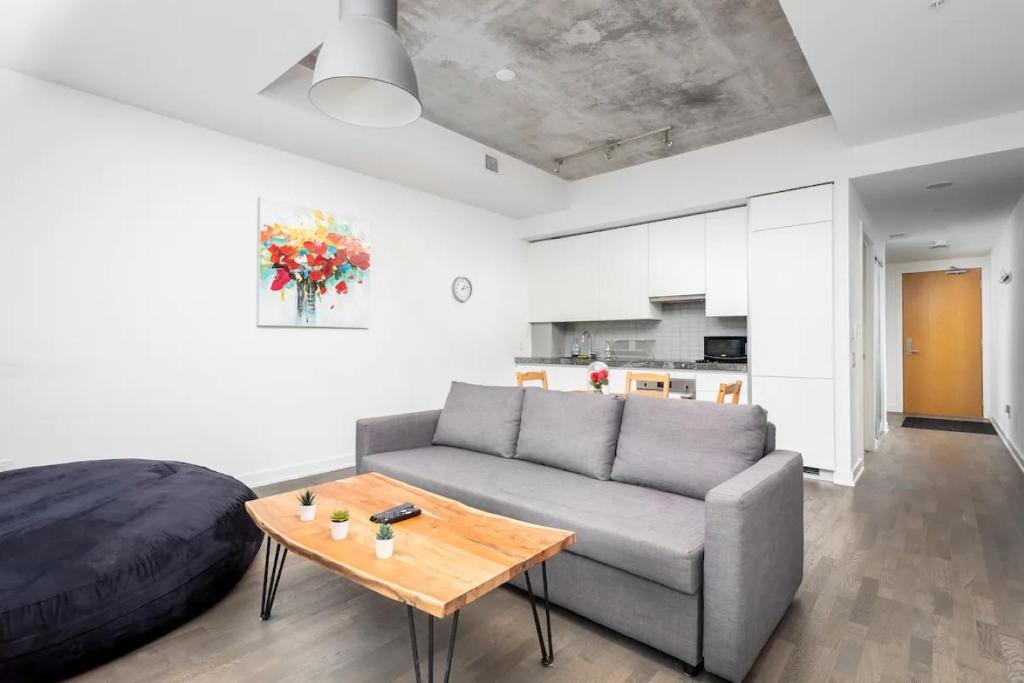 Central Downtown Suites Apartment *