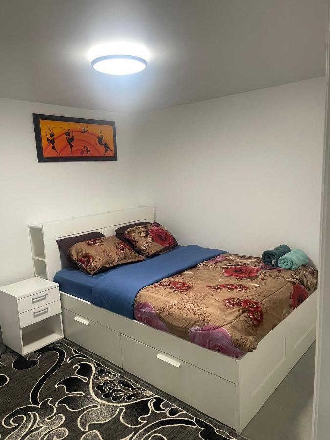 Bright Parkdale Court - Little Portugal W/ Free Parking Apartment