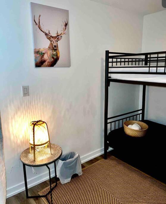 Beautiful In The Centre Of Downtown Apartment Toronto