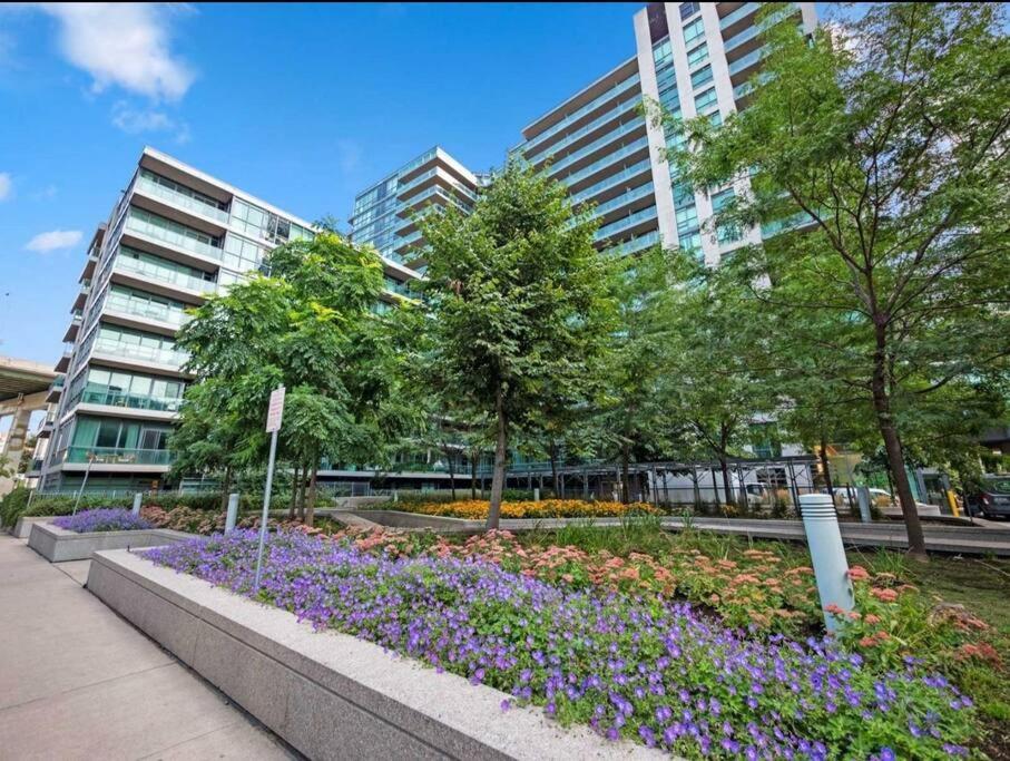 Cn Tower View With Free Parking, Pool, & Amenities *