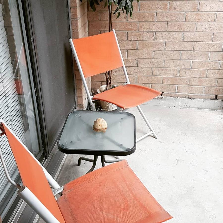 Apartment Luxury Accommodations - University Plaza *