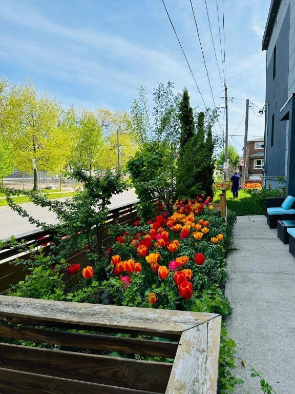 Guest house Relax V East York Space Share Canada *