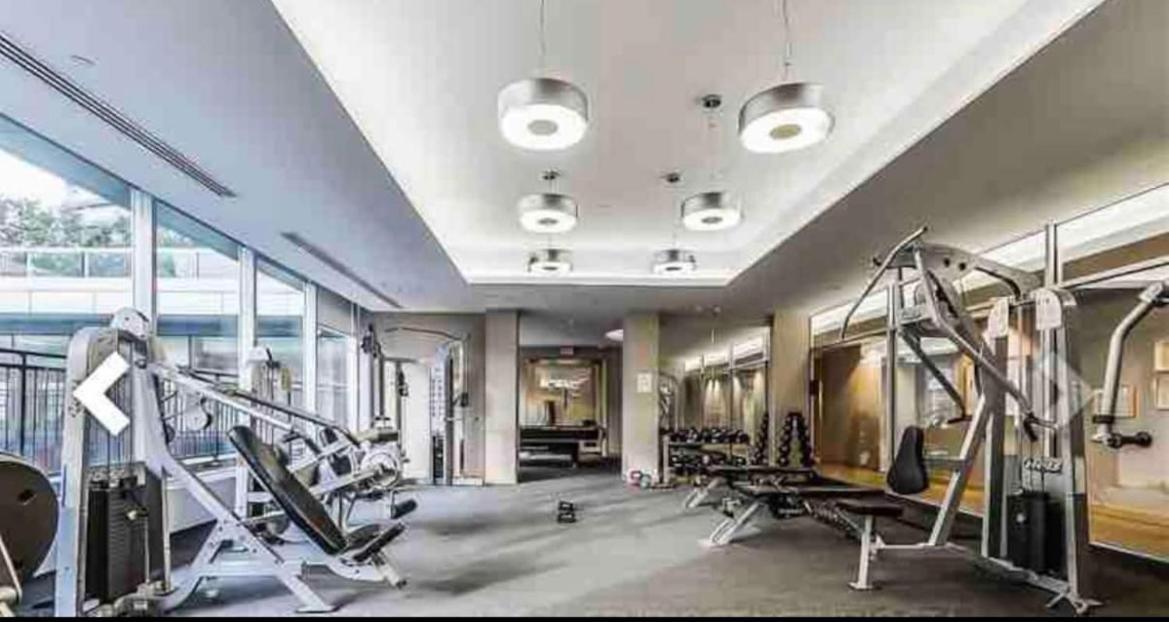 Apartment Beautiful Unit In Heart Of Downtown *