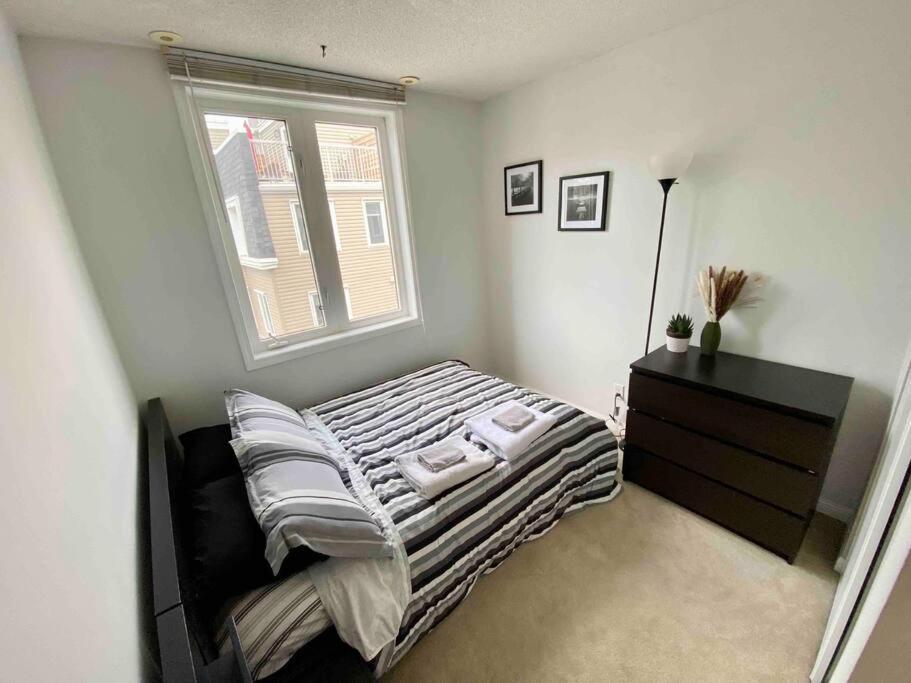 King West Private Rooftop Retreat Toronto