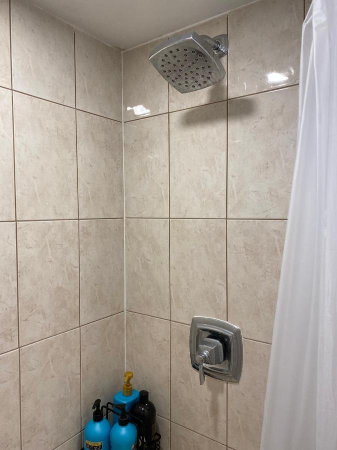 Beautiful Lower Level 2 Bedroom Aprt * Toronto