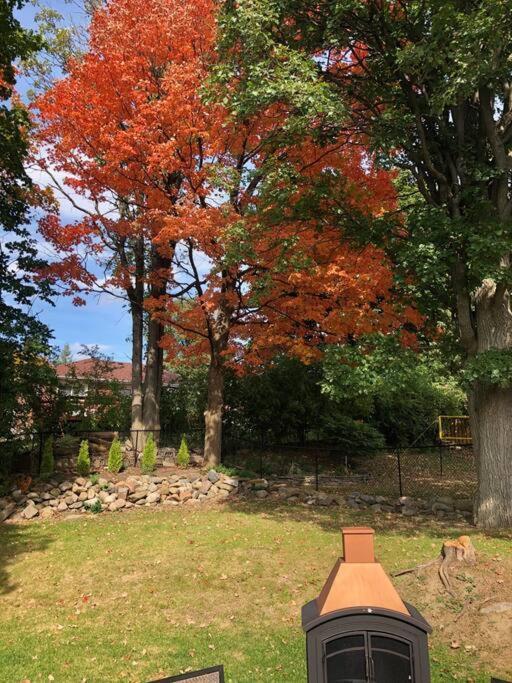Charming 2-bdr Apt, Private Entrance, Self Check-in