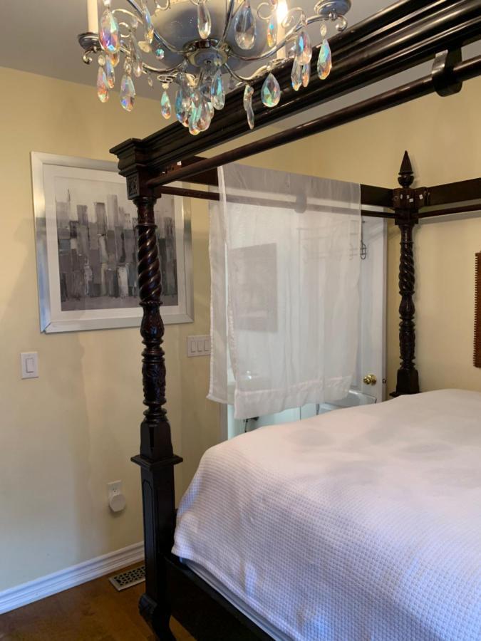 Comfortable Cozy And Convenient For Rent Apartment Toronto