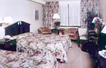 Western Primrose Downtown 3*